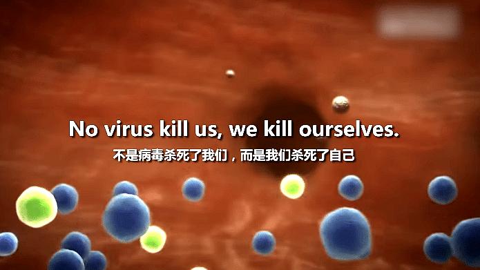 为什么蝙蝠这么毒,蝙蝠为什么有毒却自己不中毒