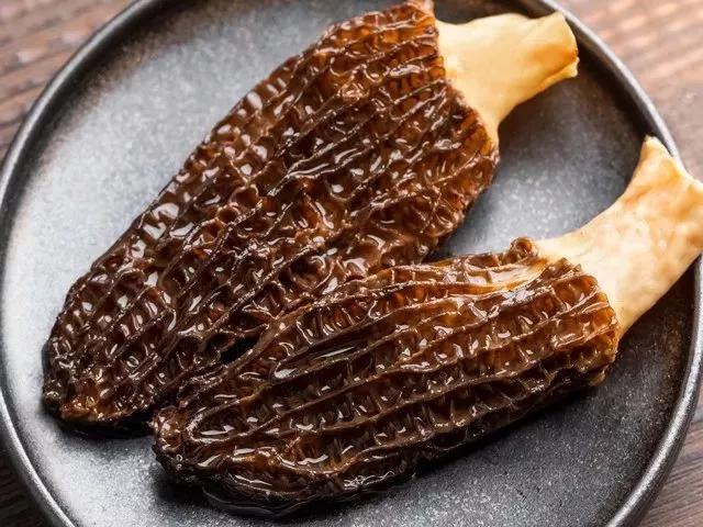 野生羊肚菌味美又养生,人工种植的羊肚菌怎么做好吃