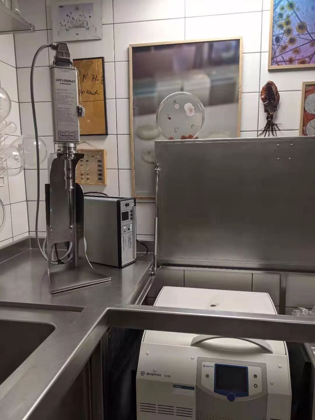 世界第一餐厅NOMA:“有什么吃什么”的能耐和“改变世界”的勇气