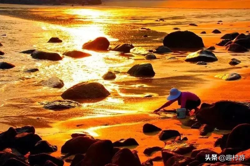 浙江人怎样吃海鲜,浙江吃海鲜很简单