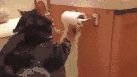 有的人说喝凉水都会长胖真的假的,喝凉水都长肉的烦恼你怎会懂