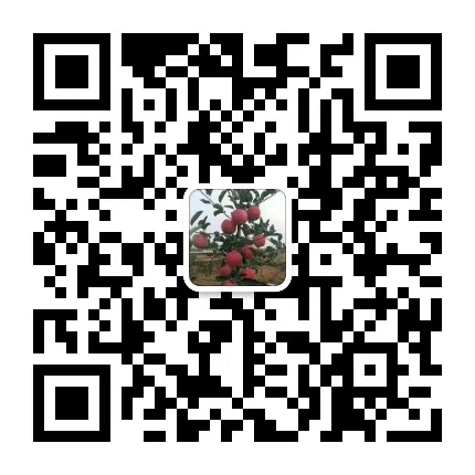 洛川苹果现状如何,洛川苹果农药