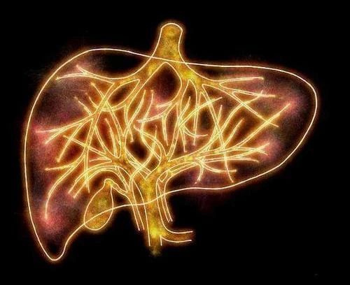 加味逍遥丸和逍遥丸的区别和功效,逍遥丸和丹栀逍遥丸能一起吃吗