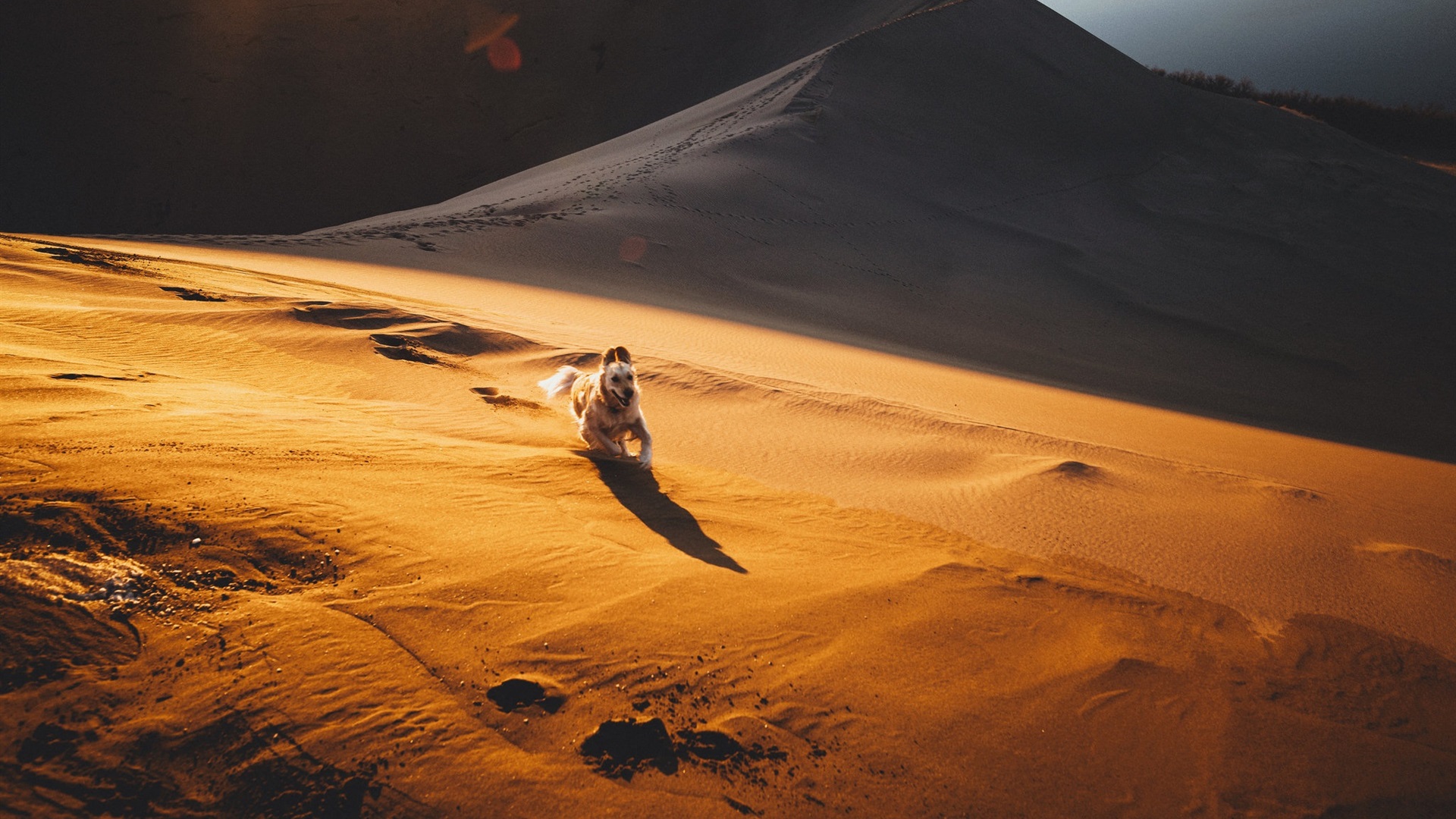 全球砂石价格大涨，日本想用一斤米换一斤沙？中国拒绝了