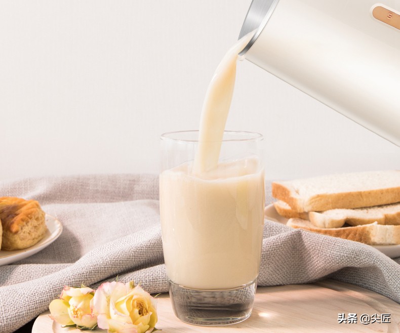 豆浆机哪个牌子最好最实惠,哪个品牌的豆浆机最好最实惠