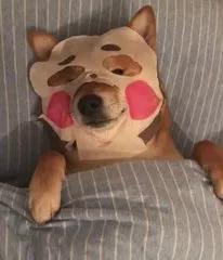 卡伴微米干发帽,日本微米级干发帽