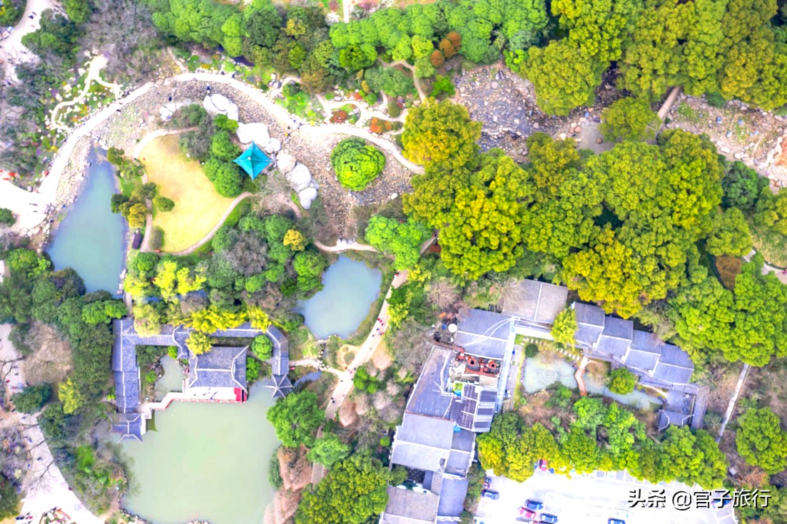 无锡梅园万紫千红约你来，三月梅花盛开，读懂坚韧不拔品质值千金