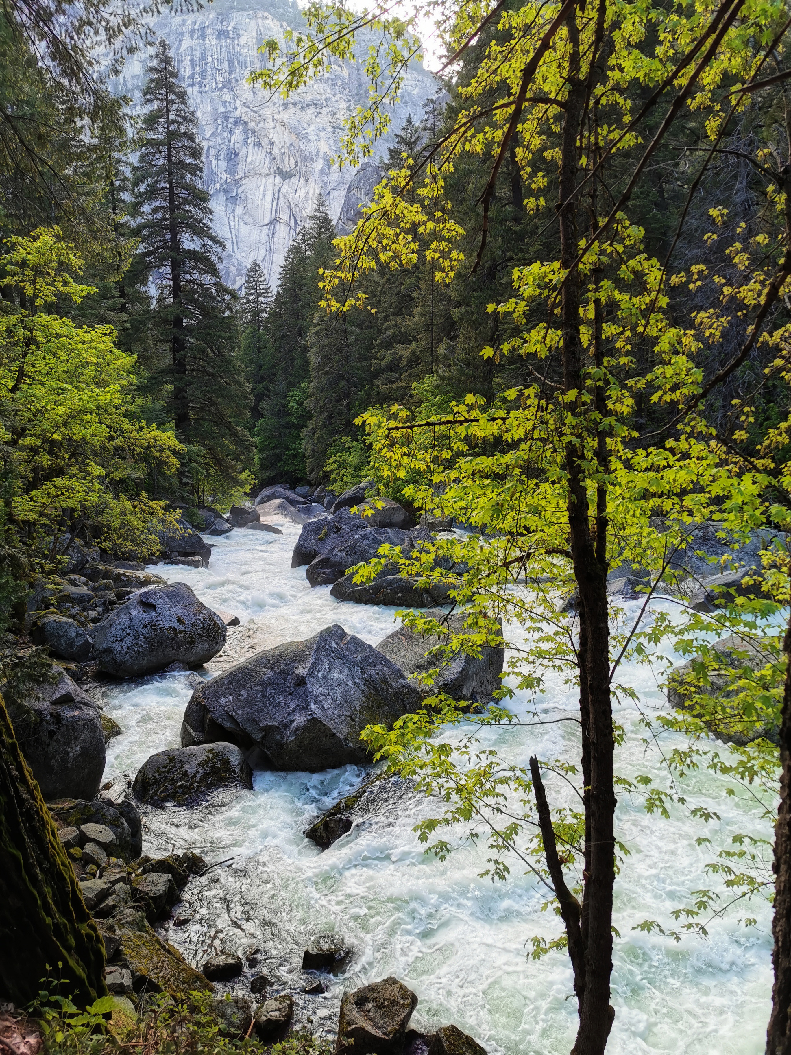 加利福尼亚优胜美地,美国旧金山优胜美地