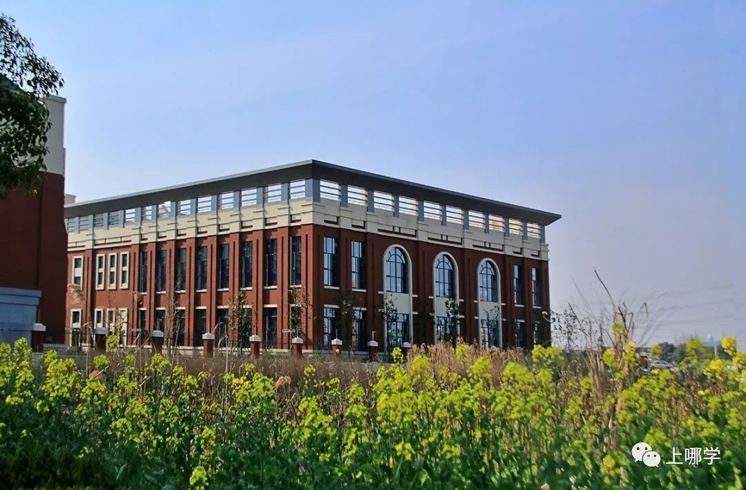 上海最好的十大民办初中,上海各区的顶级初中和一流初中