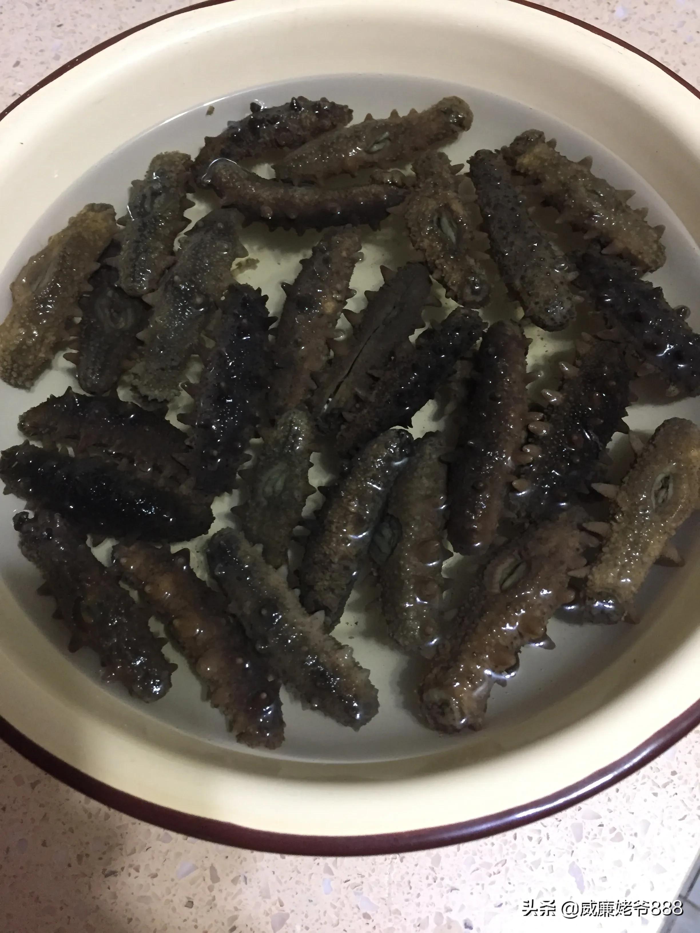 家庭葱烧海参怎么做最好,制作葱烧海参的方法