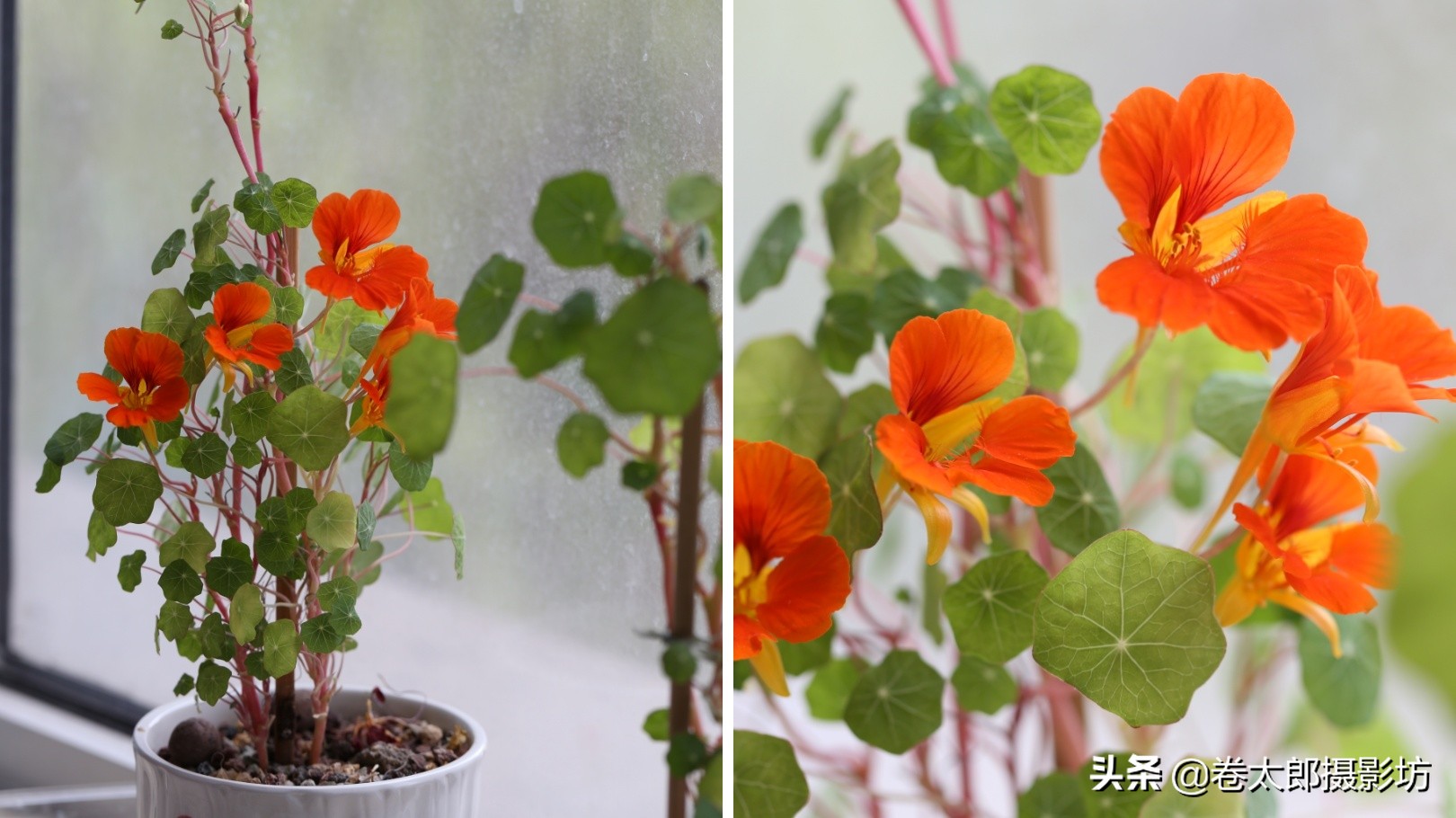 相机焦距跟光圈配合调整吗,相机拍前为什么要调焦距