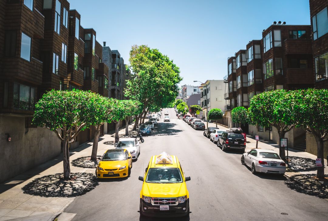 为什么美国城市看不见电线杆,为什么美国的城市没有绿化带