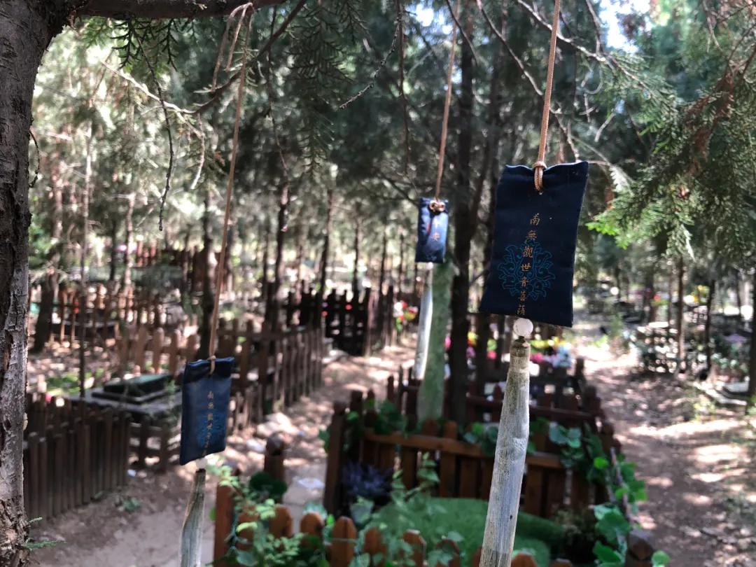 宠物火化宠物陪葬怎么处理,宠物殡葬火化兔子