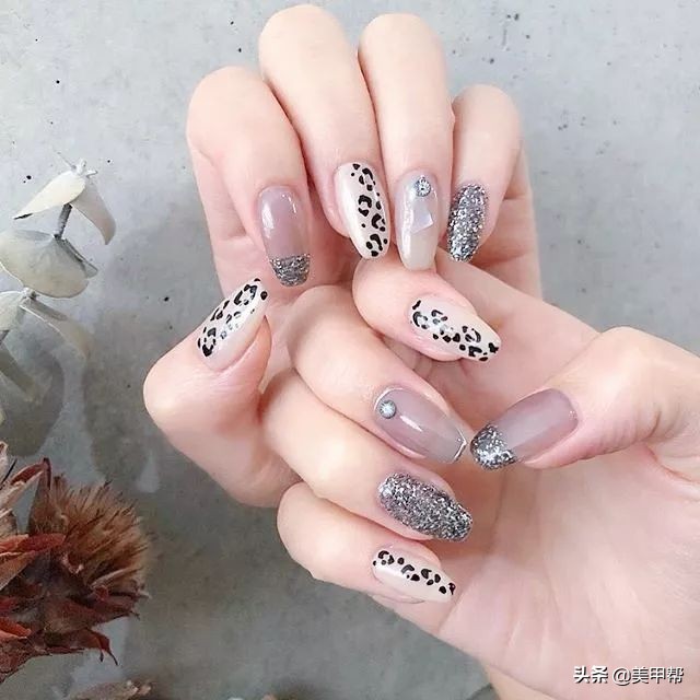 日系琥珀豹纹甲,豹纹甲推荐