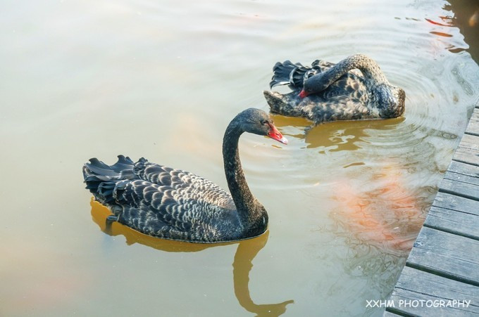 成都本地人去的最好吃的美食,中国姑娘吃成都美食