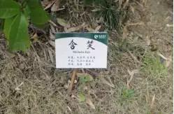 绿城物业服务特色亮点,绿城物业服务四大标准