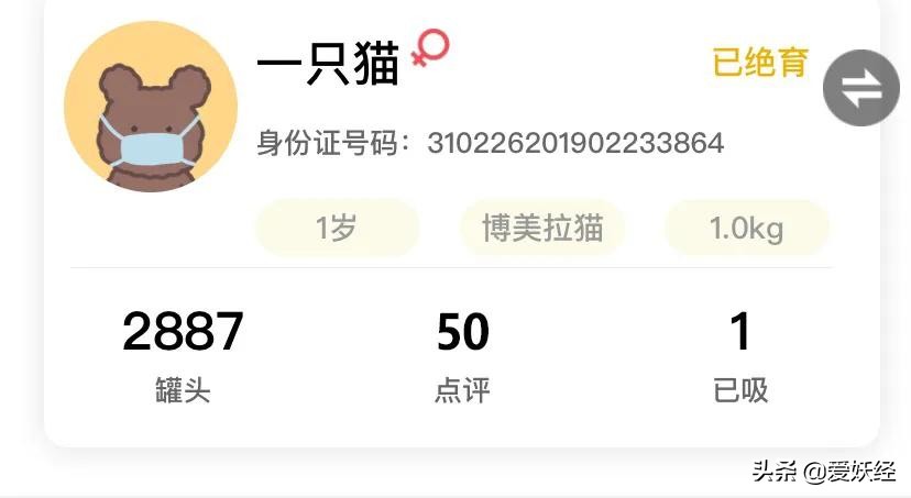 拜宠清猫驱虫药真假,拜宠清猫咪驱虫药怎么样