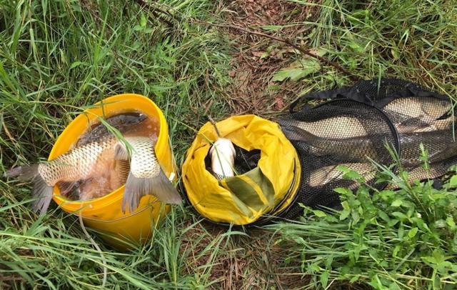 初冬野钓鲫鲤鱼饵料配方,冬季水库野钓钓鱼技巧视频