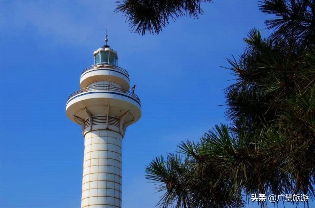 日照杜鹃花博览园平时免费开放吗,日照旅游景点哪里不要钱