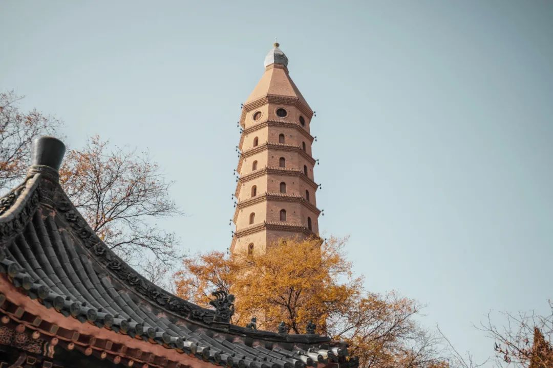 银川附近有啥不要门票的景点吗,银川必去的五大景点的门票