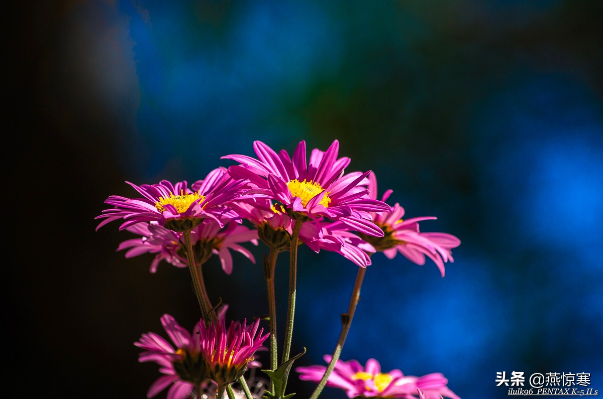 宾得相机配理光的镜头,宾得理光镜头推荐