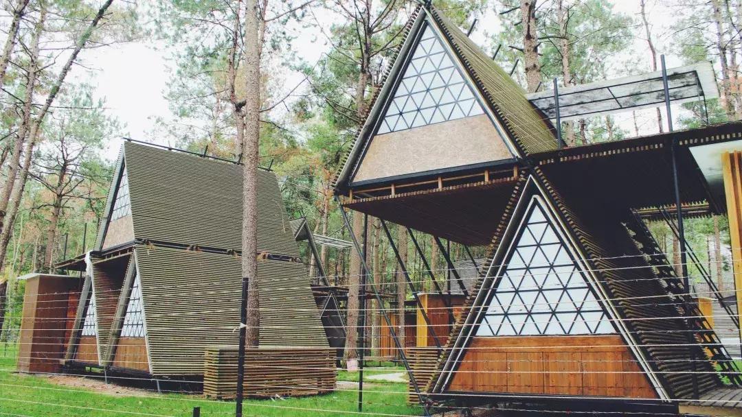 楠溪江的水有多美 (浙江楠溪江风景区怎么样)