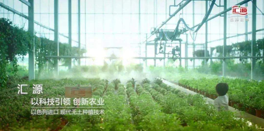 跑山猪原生态散养土黑猪,大山里的美食土鸡土鸭