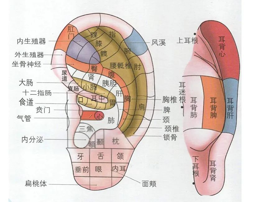 上海松江中医推荐,睡不着中医按哪个地方