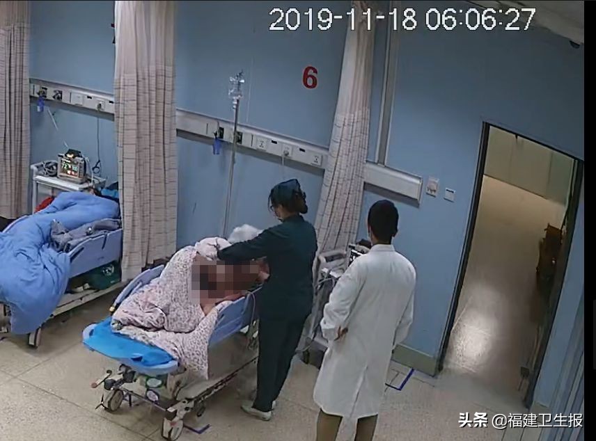 被大马蜂蜇伤有什么反应,被毒蜂蜇伤后的紧急处理方法