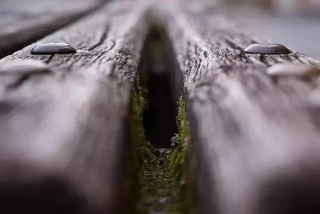 3秒钟搞懂圆的面积,景深入门基础教程