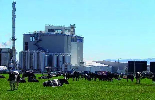 a2奶研究报告,关于a2奶粉的问题