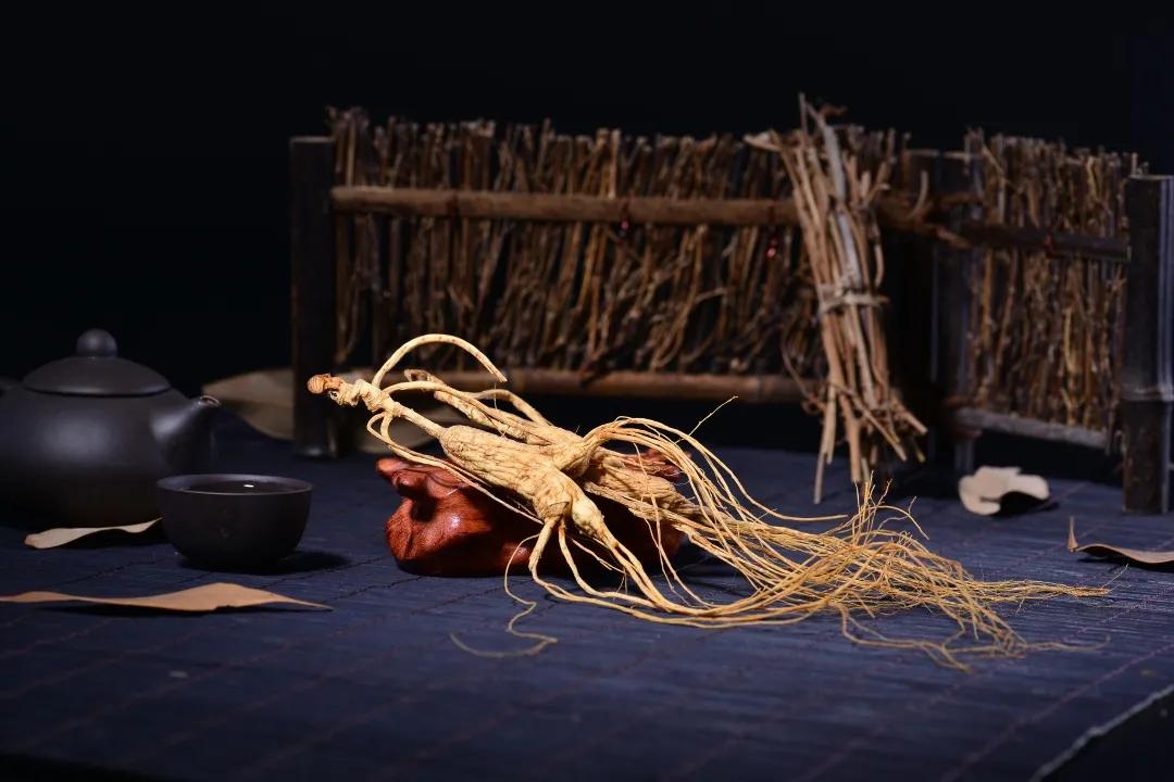 芝味本草第24期,人参芝味本草