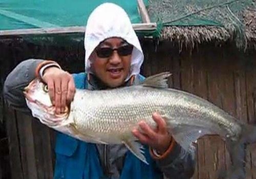 为什么那么多人热衷于钓鱼,筏钓的优势与缺点