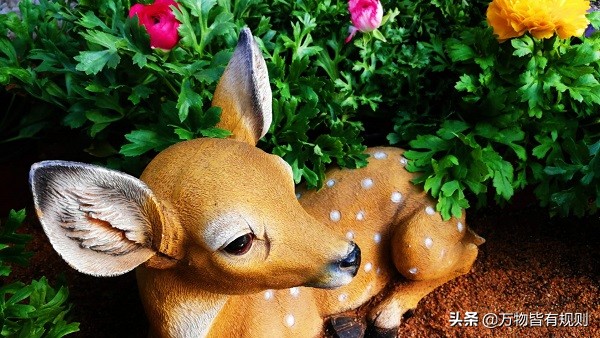 裕丰福建露华浓,露华浓品牌历史