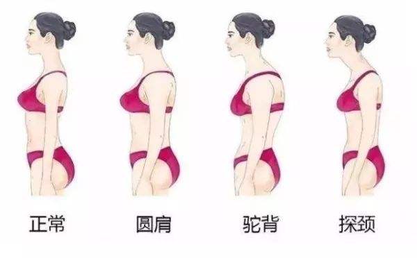 肩部怎么训练不伤肩,肩部比较窄塌肩该怎么训练呢