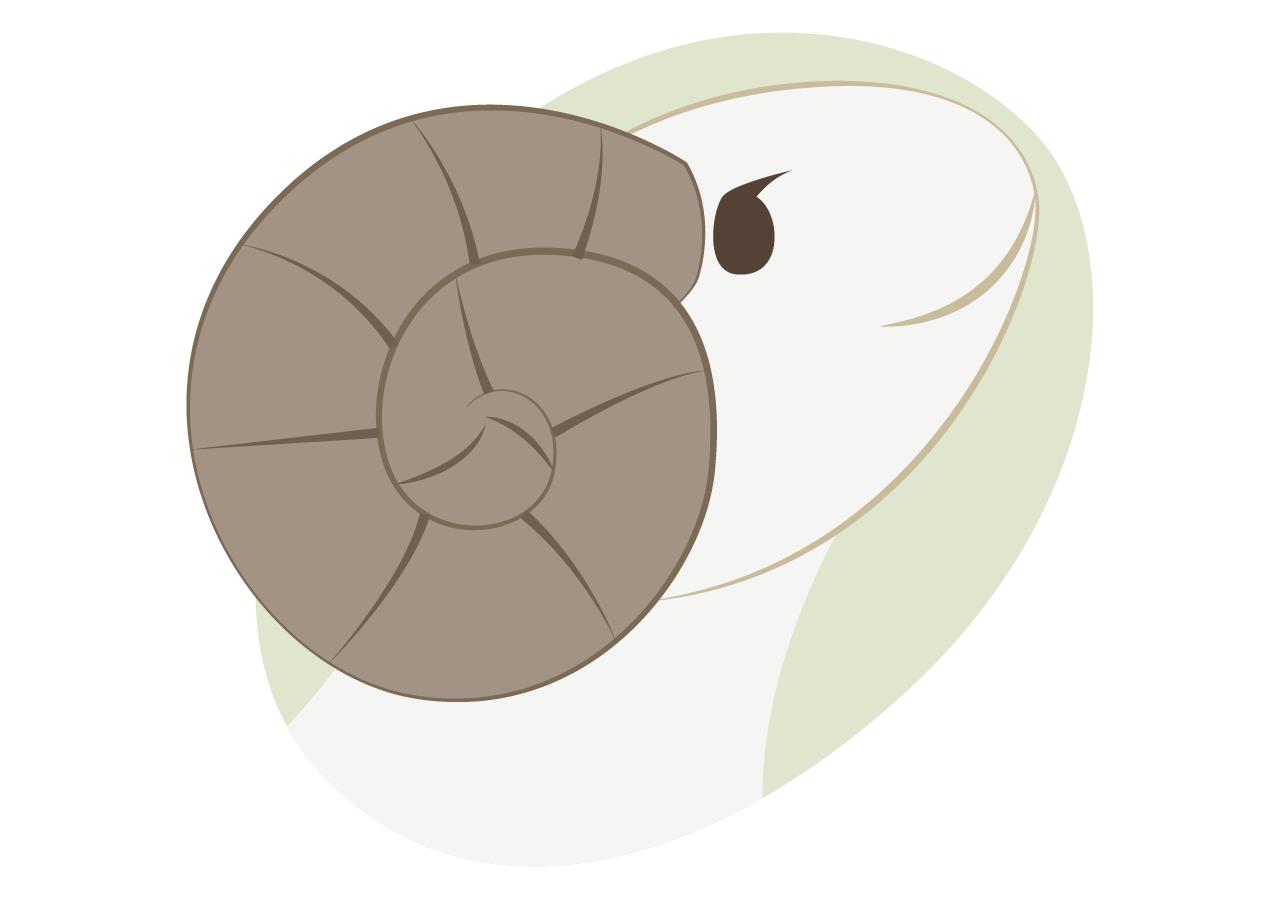 12星座最喜欢什么礼物,12星座最想得到哪个星座