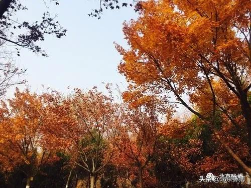 放歌京华丨门头沟、石景山的戳进来听