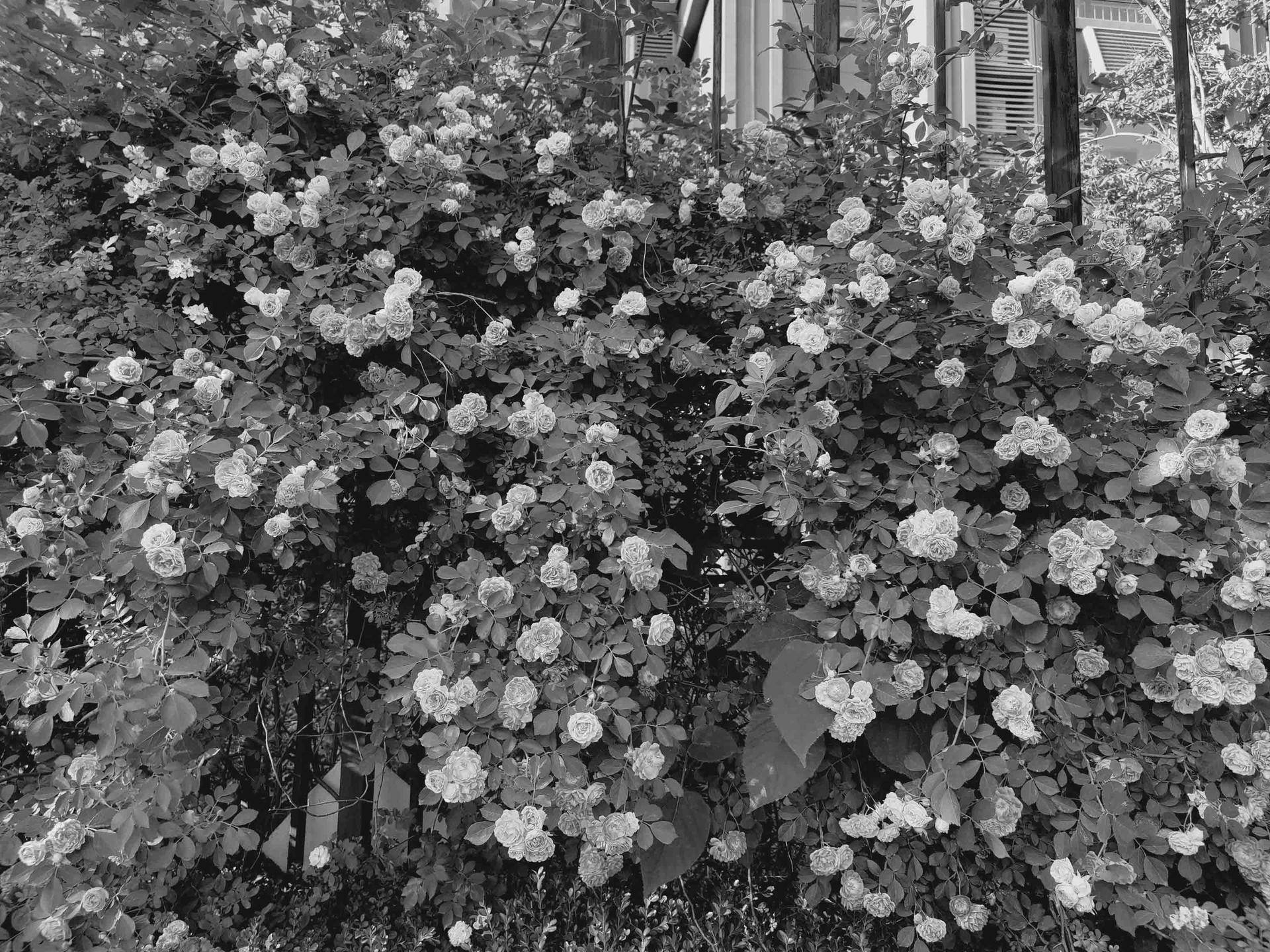 oneplus8pro2024还值得买吗,oneplus8pro测评