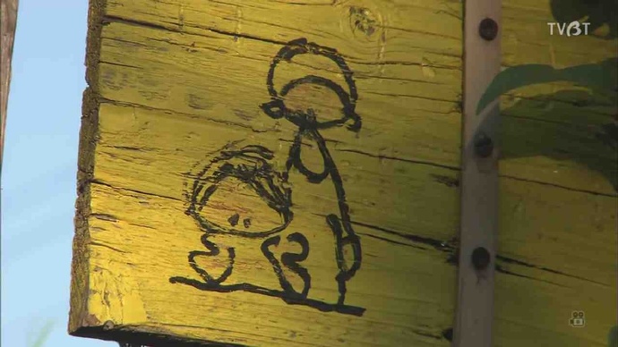 《人生果实》：豆瓣9.6，津端夫妇生活纪录片，告诉我们如何生活