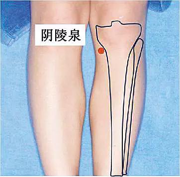 后背长痘与湿热有关吗,脾胃湿热导致背长痘