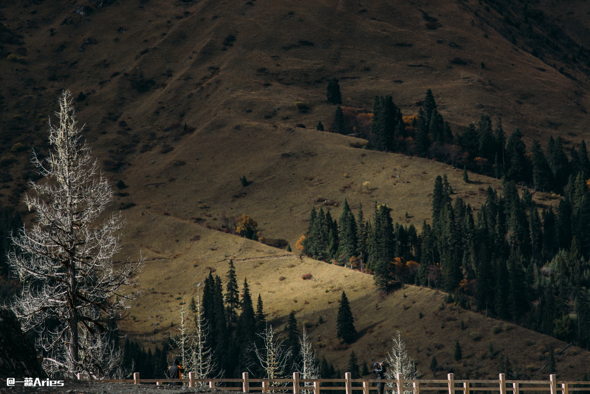 川西赏秋什么时间最好,推荐全球十大最佳赏秋胜地