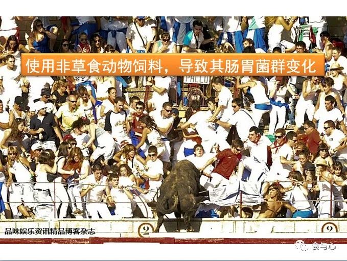 你在为谁吃饭？4第二基因组与行为改变—猫怕老鼠，老虎爱上羊