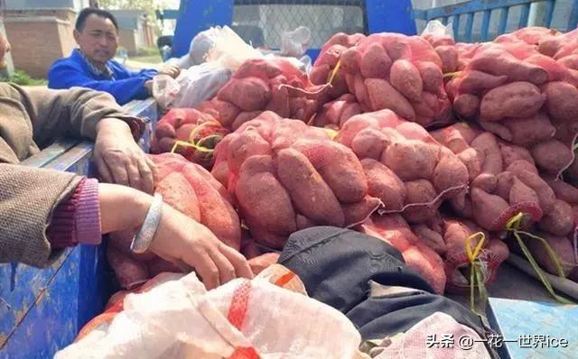 新时代，打工不再是农民的唯一，农村媳妇足不出户1年20万