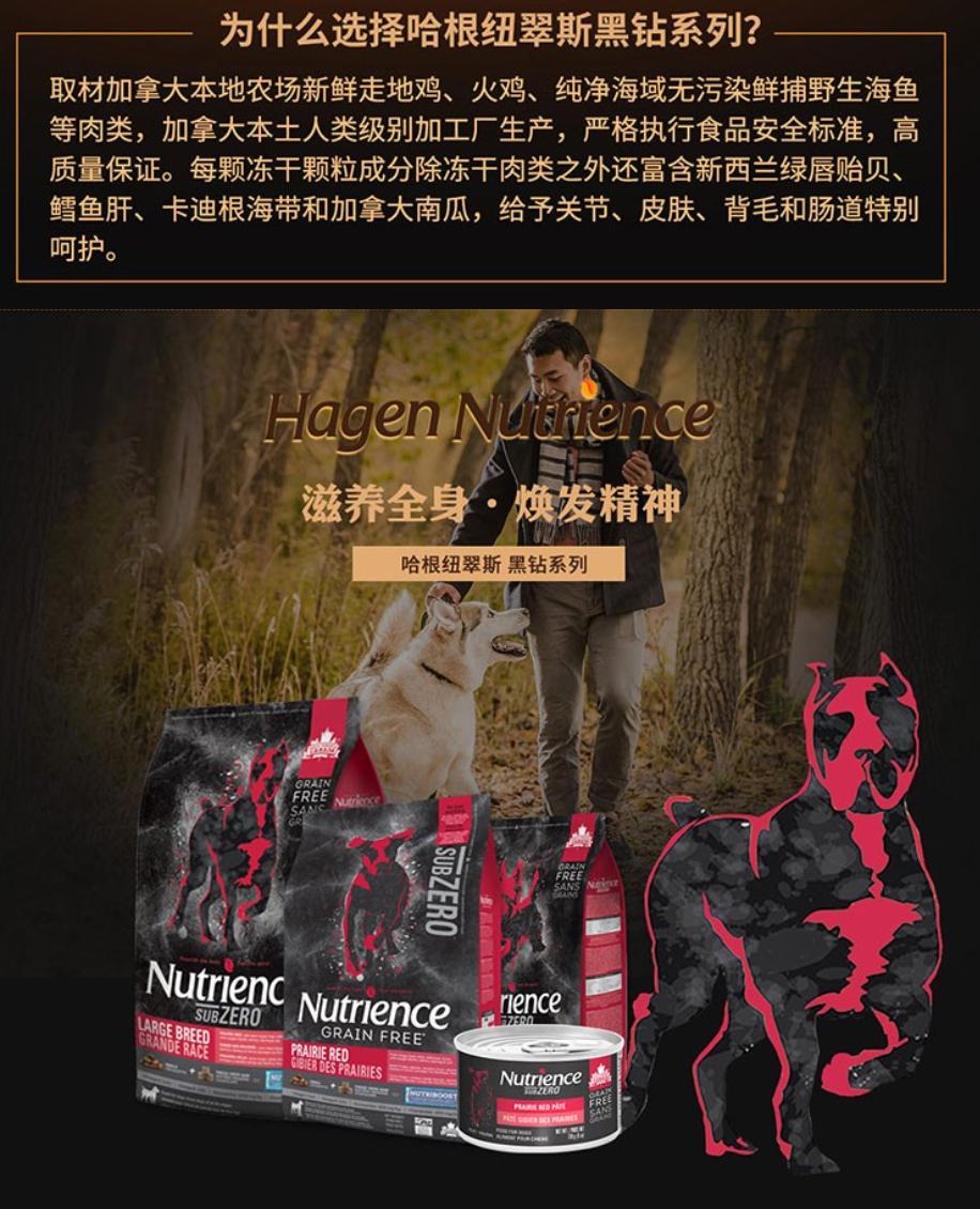 汪星人吃什么狗粮好,汪星人吃什么狗粮好一点