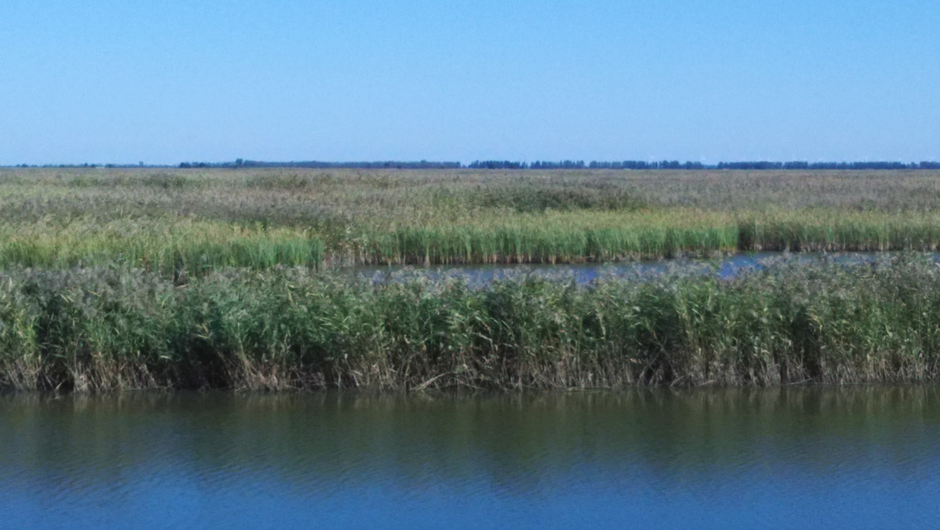 中国红海旅游攻略自由行,中国看大海去哪里旅游