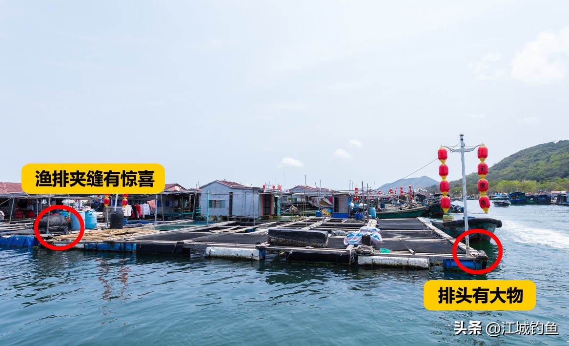 鱼排筏钓如何选择位置,鱼排筏钓教学视频