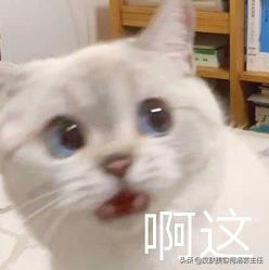 假性尖锐性湿疣可以不用治疗,假性尖锐湿疣很普遍吗