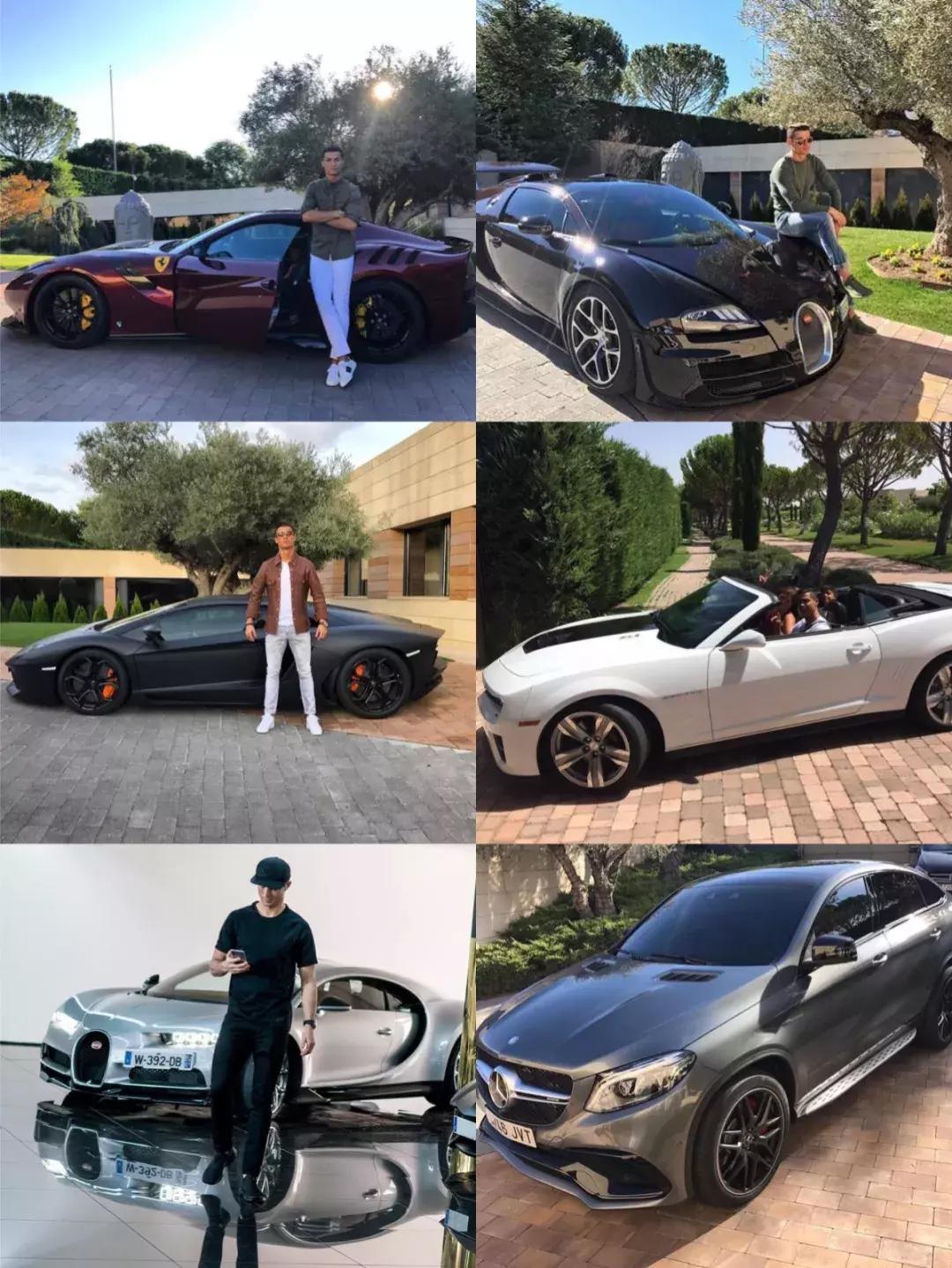 老佛爷的遗产真的由猫继承,老佛爷的所有家产最后留给了猫