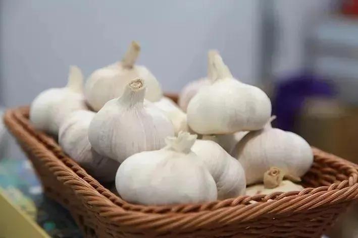 “蒜”你牛!竟治好了乾隆的痢疾症