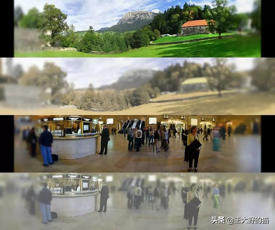 猫看到镜子里的自己,猫眼中的世界是什么样